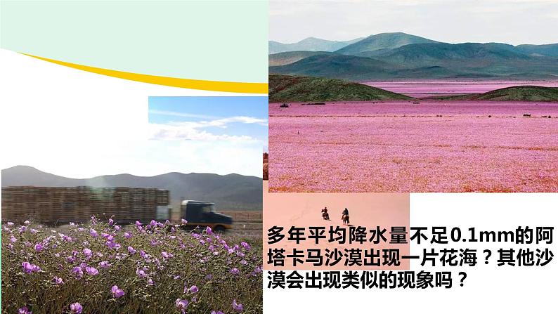 高中地理必修第一册(湘教版)拓展课件5-1 主要植被与自然环境第3页