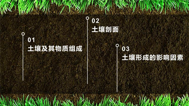 2.6土壤的主要形成因素课件PPT03