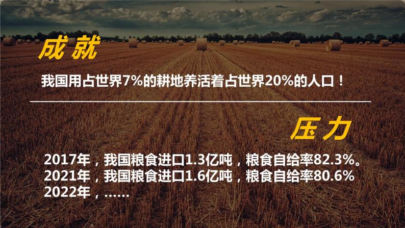 2.1中国耕地资源与粮食安全课件PPT03