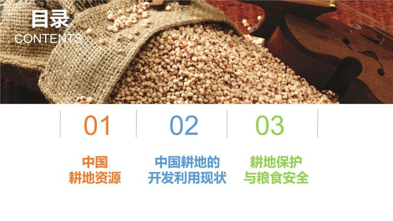 2.1中国耕地资源与粮食安全课件PPT04