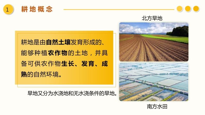 2.1中国耕地资源与粮食安全课件PPT06