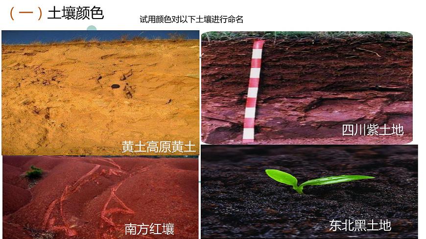 5.2土壤的形成因素課件PPT第7頁