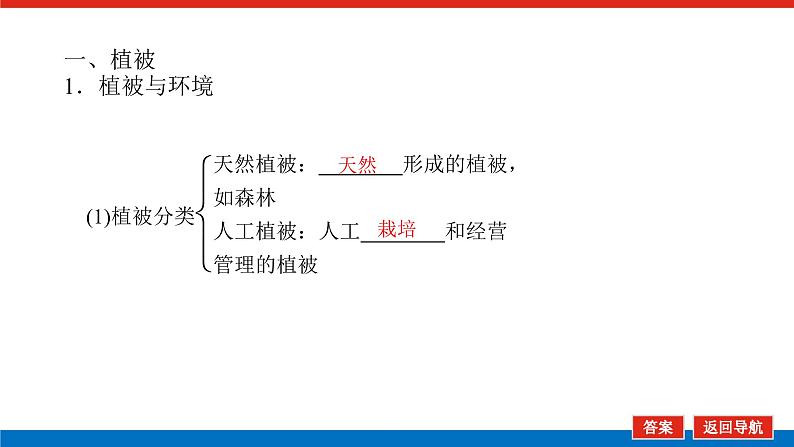 2023新教材高中地理复习课件:第18讲 植被和土壤第4页