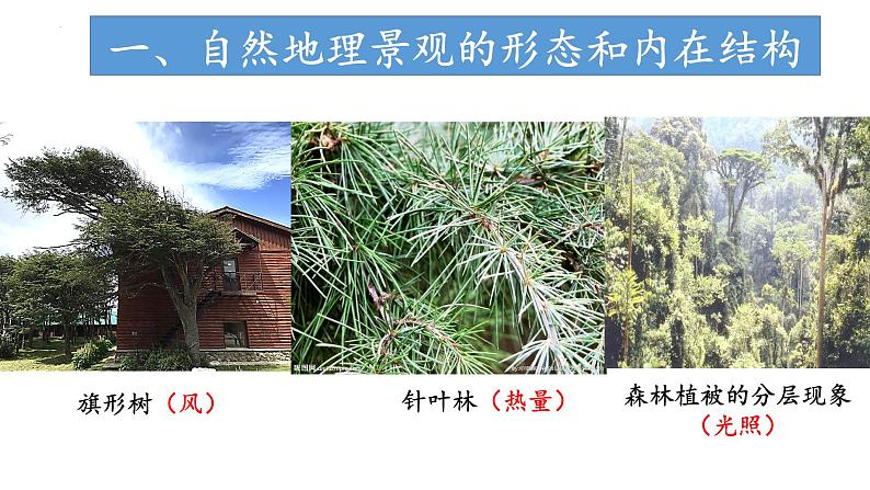 3.3.2 气候的形成及其对自然景观的影响(气候对自然景观形成的影响)(课件)-2022-2023学年高二地理同步精品课堂(中图版2019选择性必修1)07