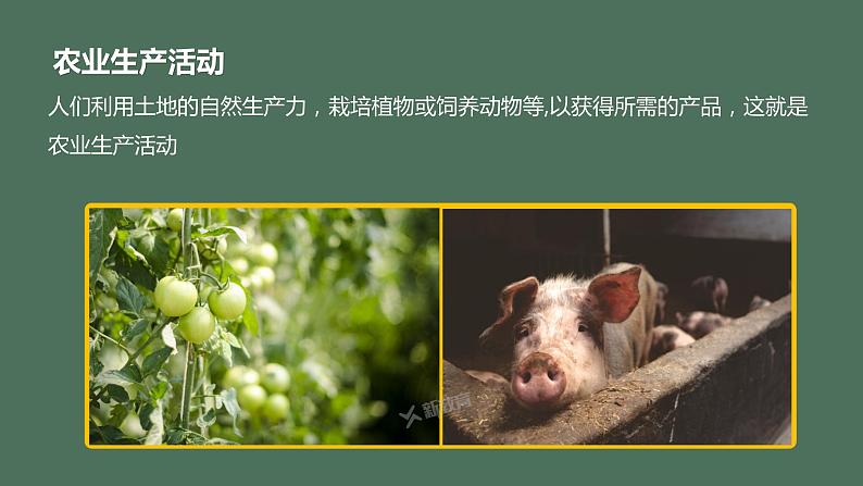新高中地理高考2023年高考地理一轮复习(新人教版) 第2部分第3章 第1讲 课时52 农业区位因素课件PPT第6页