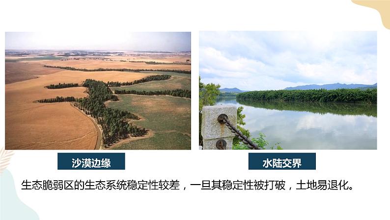 2.2生态脆弱区的综合治理 课件06
