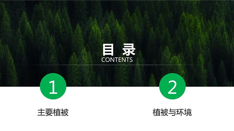 5.1 《主要植被与自然环境》课件第6页