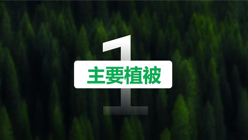 5.1 《主要植被与自然环境》课件第7页