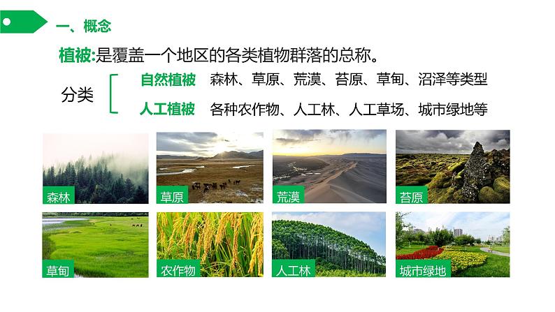 5.1 《主要植被与自然环境》课件第8页