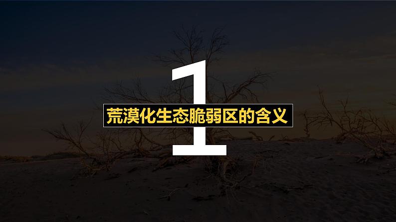 湘教版(2019)选择性必修2:2.4《生态脆弱区的综合治理——以我国荒漠化地区为例》课件第5页