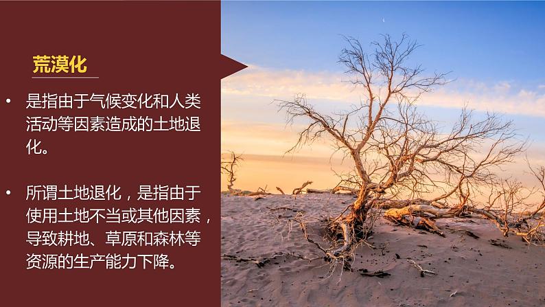 湘教版(2019)选择性必修2:2.4《生态脆弱区的综合治理——以我国荒漠化地区为例》课件第6页