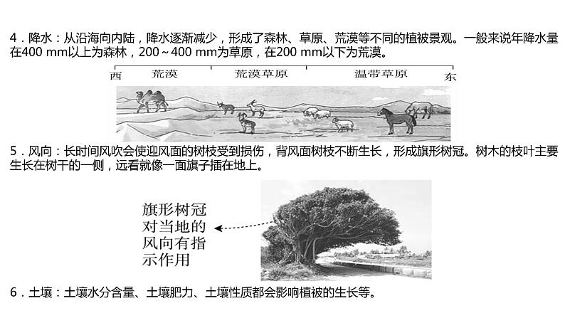102植被与土壤2023届高三地理一轮总复习第五部分自然地理之地理环境整体性与差异性课件PPT第6页