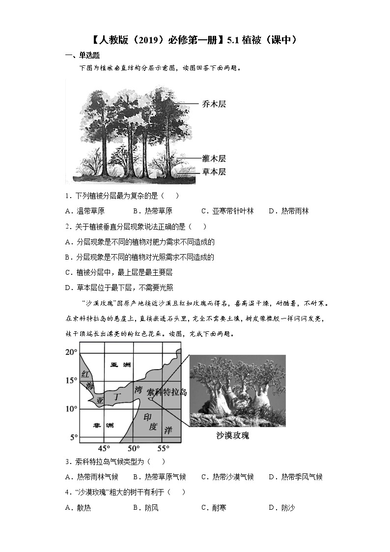 5.1 植被（课中）-高中地理人教版（2019）必修第一册课前课中课后同步试题精编01