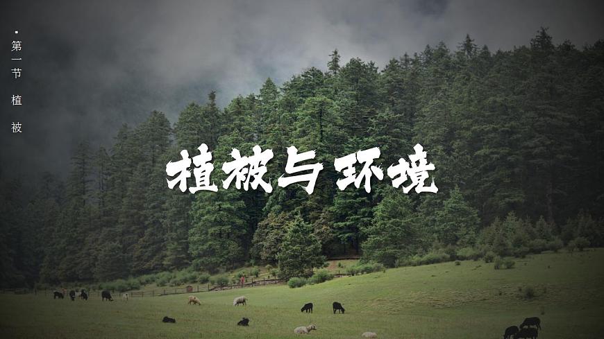 5.1植被(教學(xué)課件)-【上好課】2022-2023學(xué)年高一地理同步備課系列(人教版2019必修第一冊)第4頁