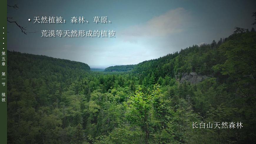 5.1植被(教學(xué)課件)-【上好課】2022-2023學(xué)年高一地理同步備課系列(人教版2019必修第一冊)第6頁