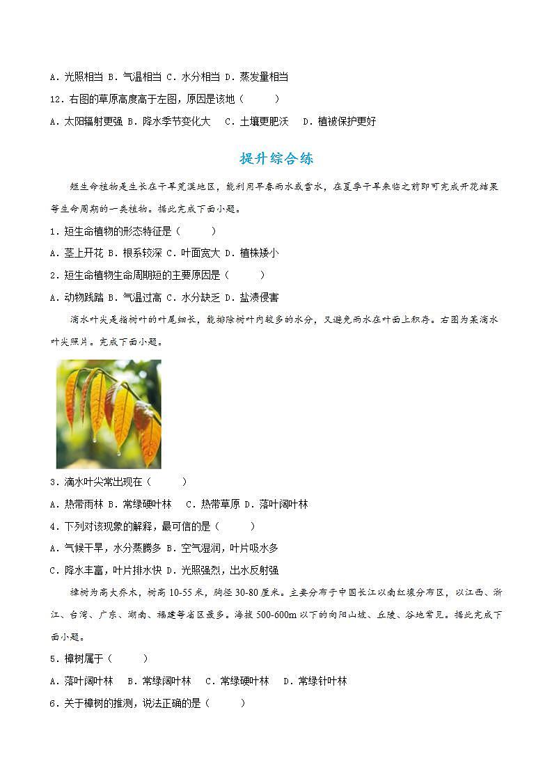 5.1植被(分層練習(xí))原卷版-【上好課】2022-2023學(xué)年高一地理同步備課系列(人教版2019必修第一冊)第3頁