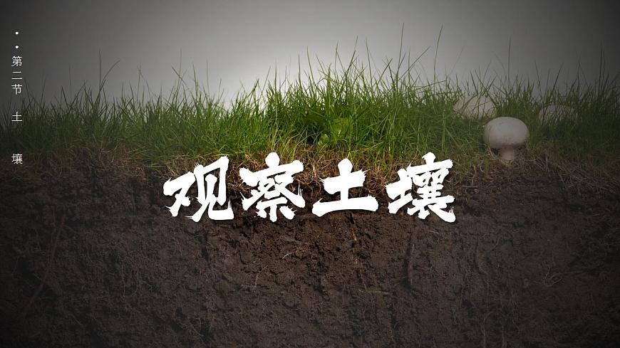 5.2 土壤（教學(xué)課件）-【上好課】2022-2023學(xué)年高一地理同步備課系列（人教版2019必修第一冊）第2頁