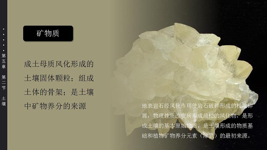 5.2 土壤(教學(xué)課件)-【上好課】2022-2023學(xué)年高一地理同步備課系列(人教版2019必修第一冊)第4頁