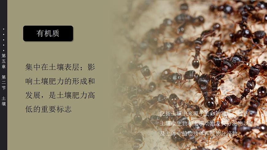 5.2 土壤（教學(xué)課件）-【上好課】2022-2023學(xué)年高一地理同步備課系列（人教版2019必修第一冊）第5頁