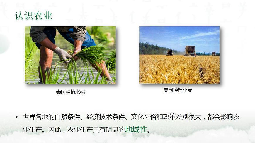 3.1農(nóng)業(yè)的區(qū)位選擇(含3課時(shí))(精品課件)精編高一地理同步備課系列(魯教版2019必修第二冊(cè))第7頁(yè)