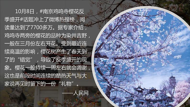 2.3 生物圈与植被 课件01