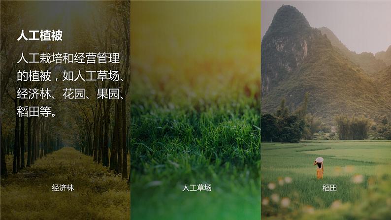 2.3 生物圈与植被 课件08