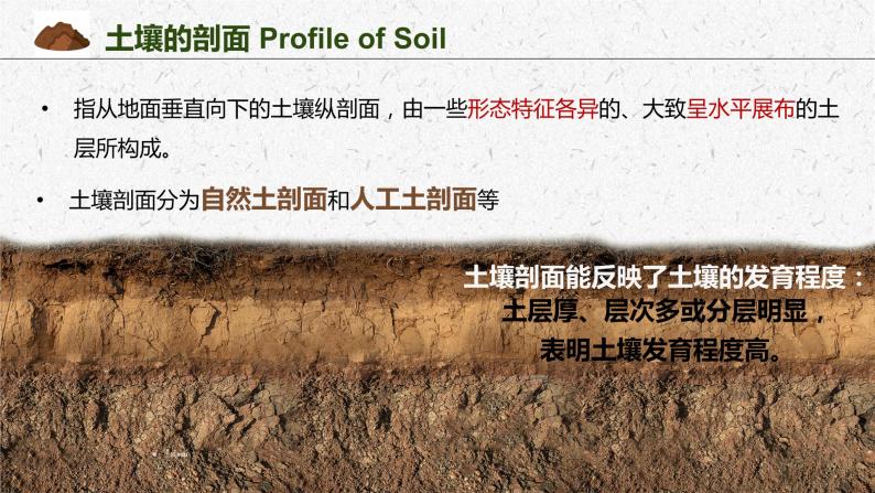 3.4分析土壤形成的原因 课件04