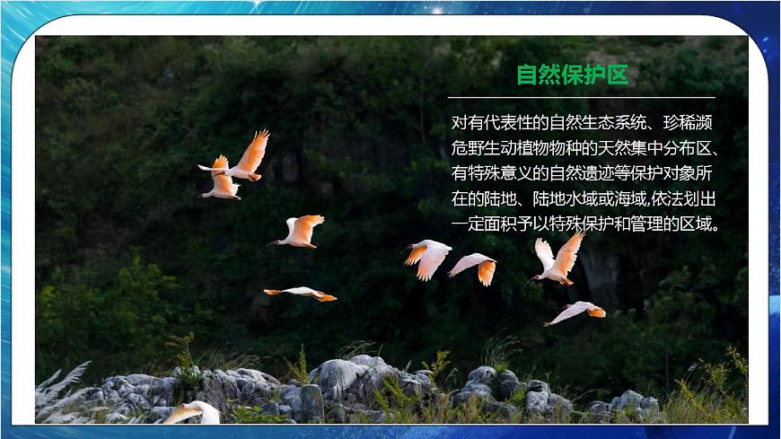 3.2 自然保護(hù)區(qū)與生態(tài)安全 課件 湘教版高二地理選擇性必修3第4頁