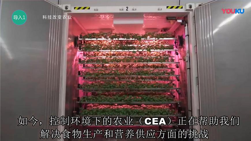 3.1 農(nóng)業(yè)區(qū)位因素與農(nóng)業(yè)布局 同步課件（新湘教版必修第二冊）第2頁