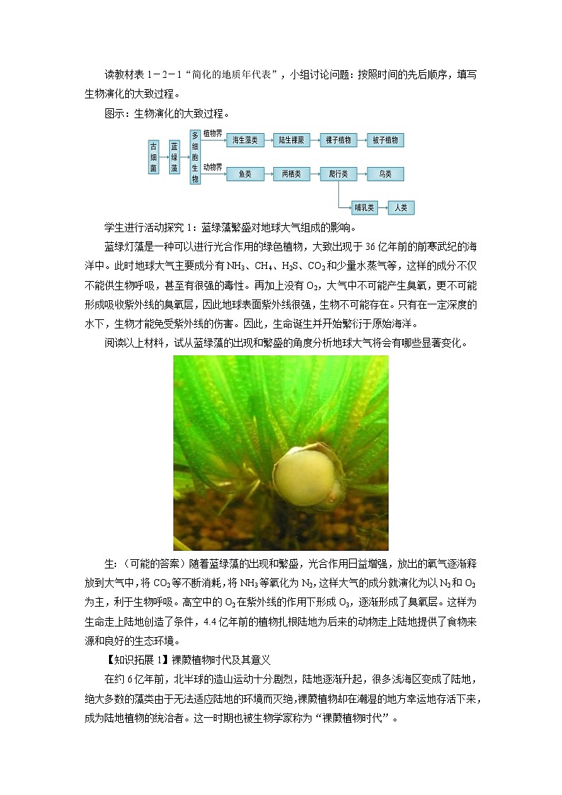 《地球的形成與演化》第2課時示范課教案【高中地理魯教版必修1】第3頁