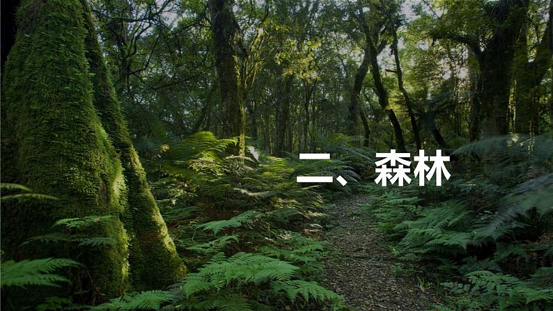 5.1植被(第2课时) 基础课件-人教版(2019)必修一高中地理02