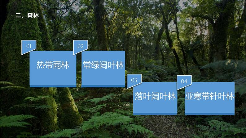 5.1植被(第2课时) 基础课件-人教版(2019)必修一高中地理03