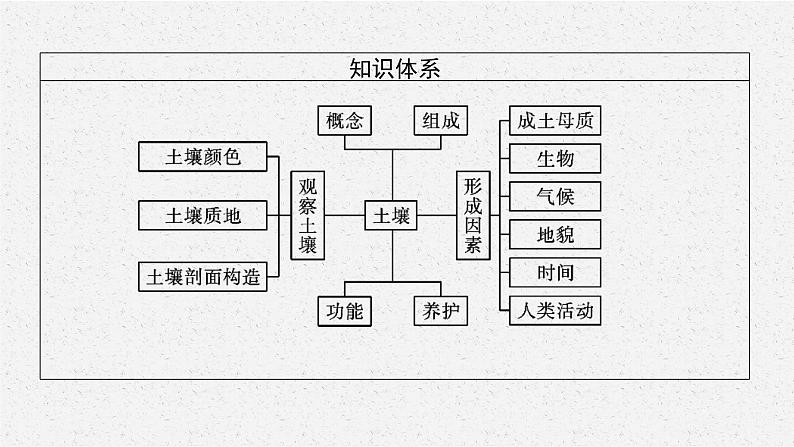 第五章 第二节 土壤课件PPT第4页