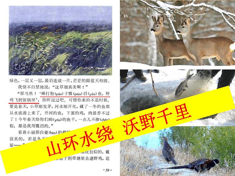 2.3中国东北地区农业的可持续发展课件-2020-2021学年中图版高中地理必修三第1页