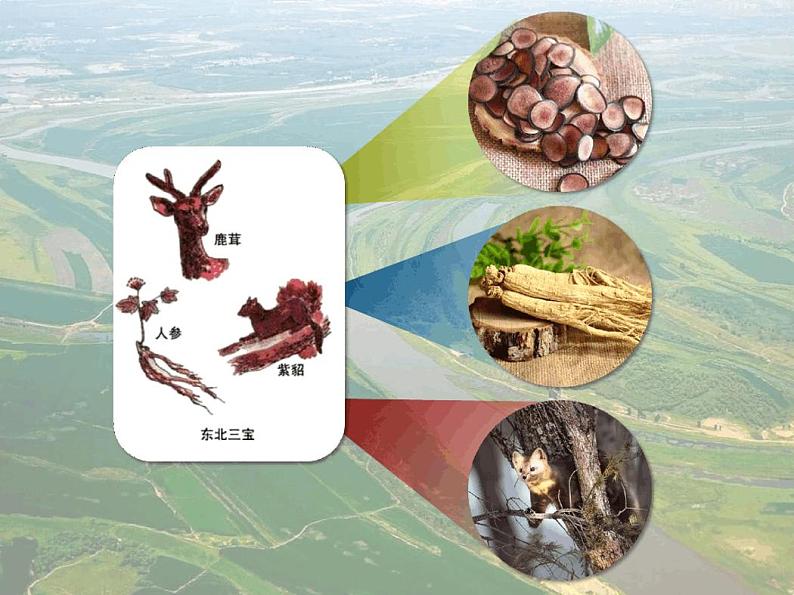 2.3中国东北地区农业的可持续发展课件-2020-2021学年中图版高中地理必修三第2页