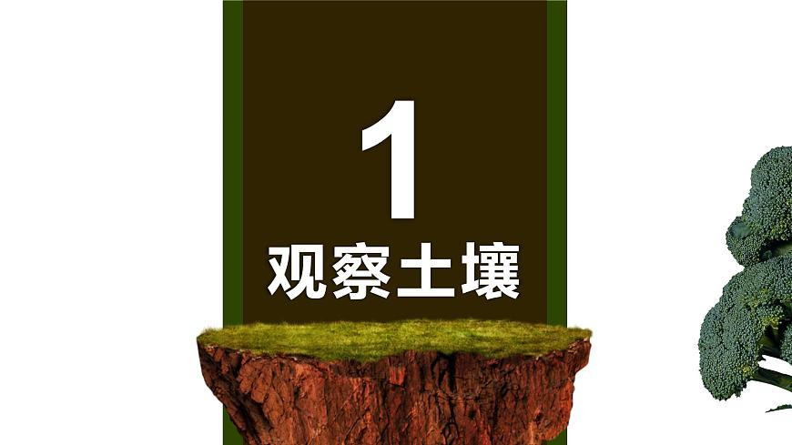 5.2 土壤 第3頁