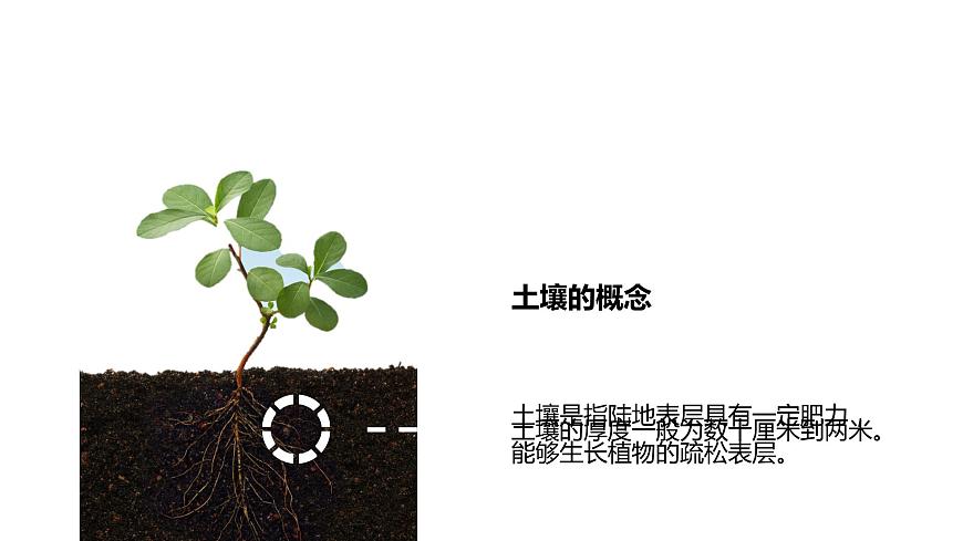5.2 土壤 第4頁