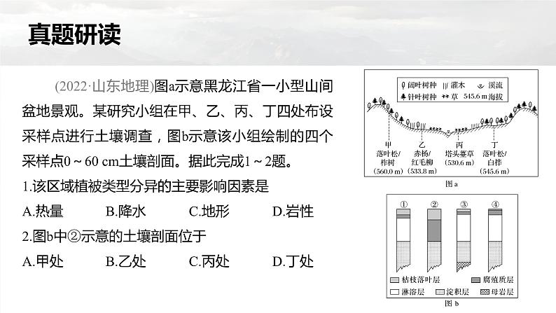 新高考版高考地理二轮复习(新高考版) 第1部分 专题突破 专题5 考点4 地方性分异规律课件PPT第5页
