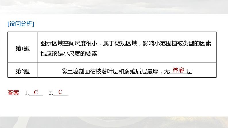 新高考版高考地理二轮复习(新高考版) 第1部分 专题突破 专题5 考点4 地方性分异规律课件PPT第8页