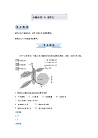 高考地理二轮复习小题必练16 城市化（含解析）