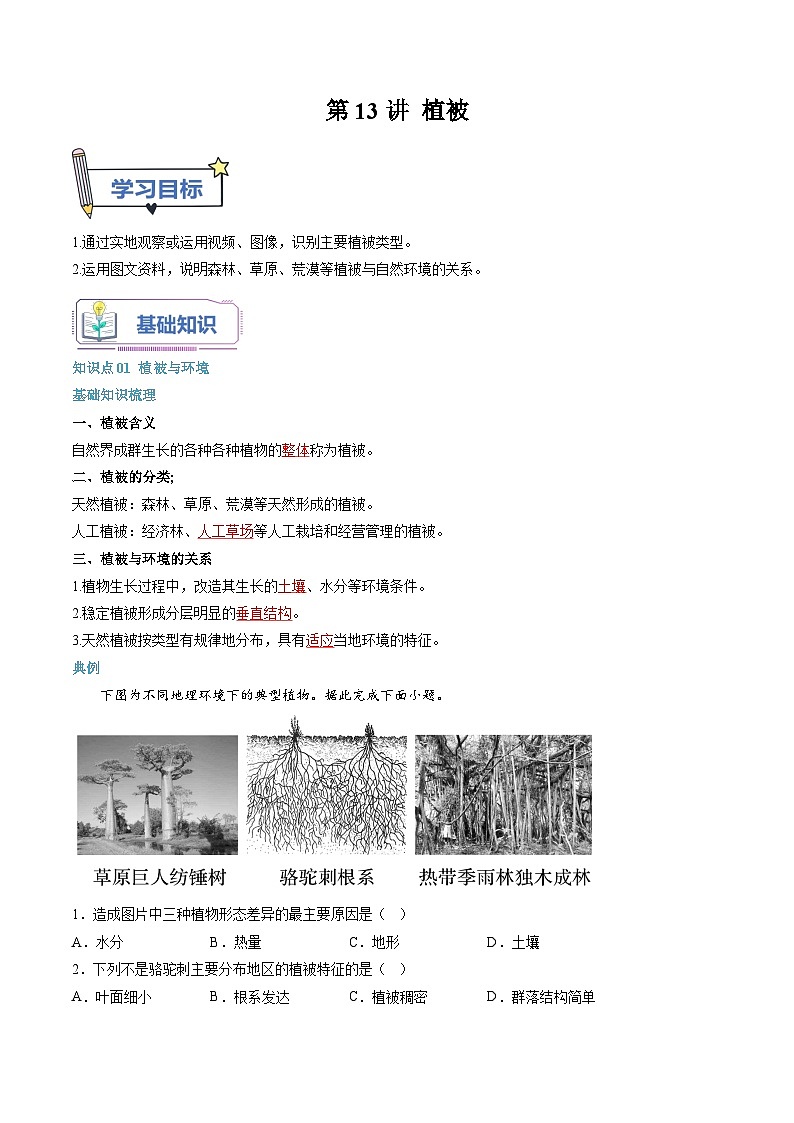 【暑假初升高】人教版地理九年级(升高一)暑假预习-(必修1)第13讲 植被 讲学案01