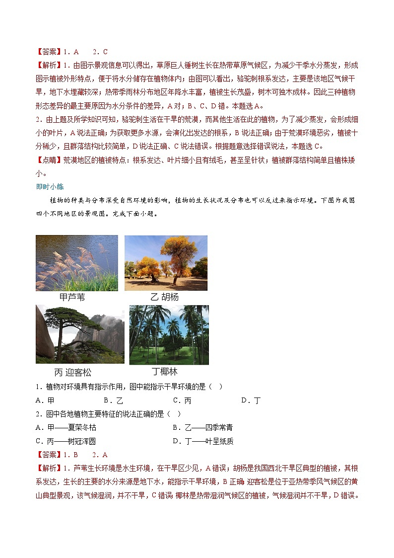【暑假初升高】人教版地理九年级(升高一)暑假预习-(必修1)第13讲 植被 讲学案02