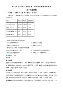 安徽省合肥市庐江县2022-2023学年高一地理下学期期末考试试题（Word版附解析）