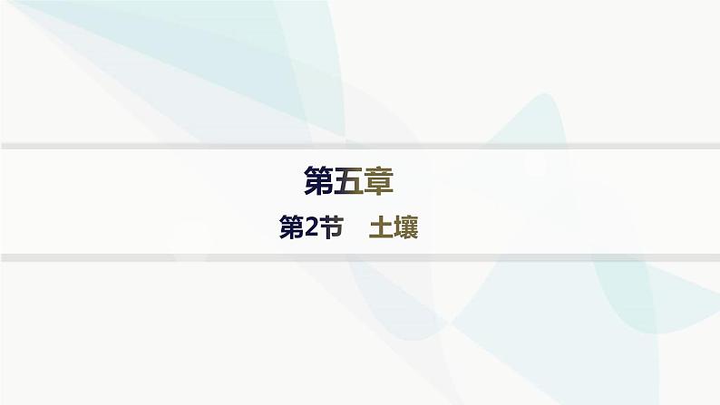 人教版高中地理必修第一册第5章植被与土壤第2节土壤分层作业课件第1页