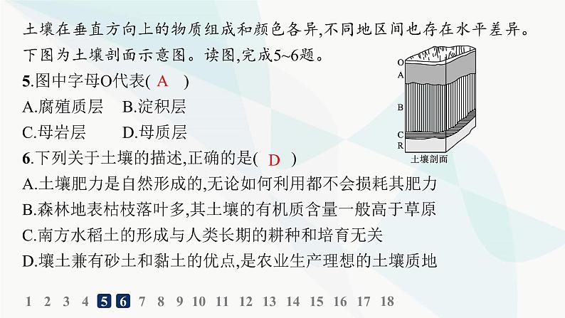 湘教版高中地理必修第一册第五章地球上的植被与土壤第2节土壤的形成分层作业课件第7页