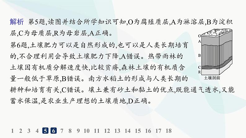 湘教版高中地理必修第一册第五章地球上的植被与土壤第2节土壤的形成分层作业课件第8页