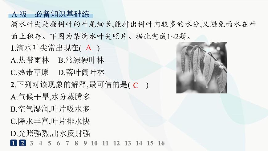 湘教版高中地理選擇性必修1第3章大氣的運(yùn)動(dòng)第二節(jié)氣壓帶、風(fēng)帶與氣候分層作業(yè)課件第2頁(yè)