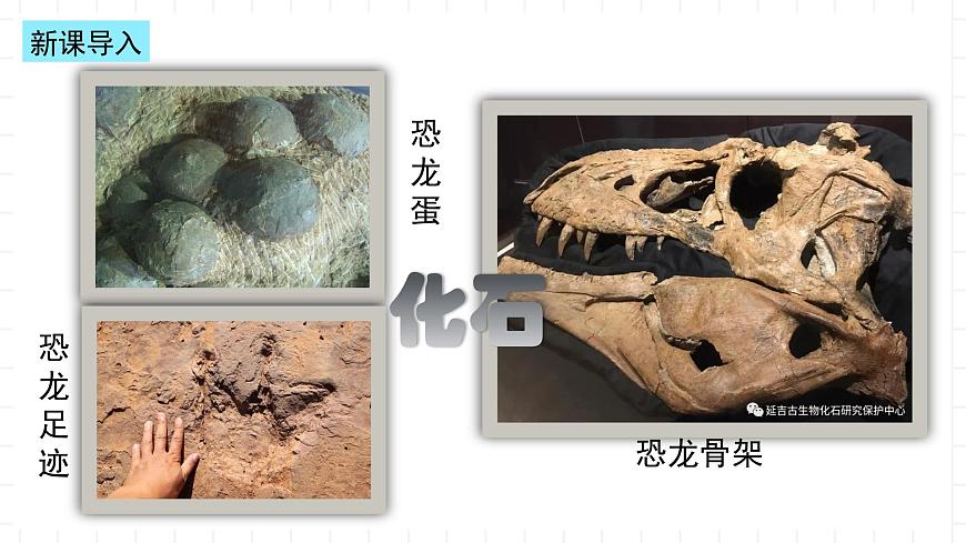 湘教版地理高中必修一 1.4《地球的演化》課件第3頁