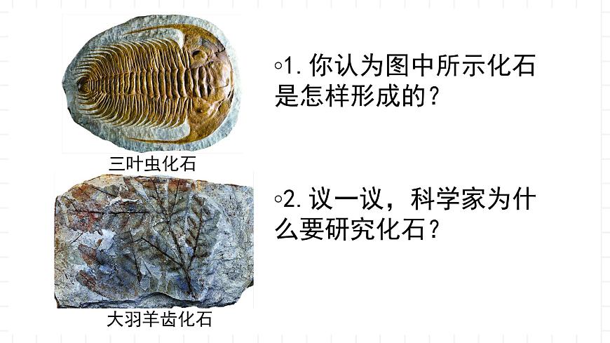 湘教版地理高中必修一 1.4《地球的演化》課件第5頁