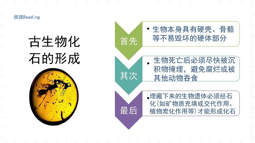 湘教版地理高中必修一 1.4《地球的演化》課件第8頁